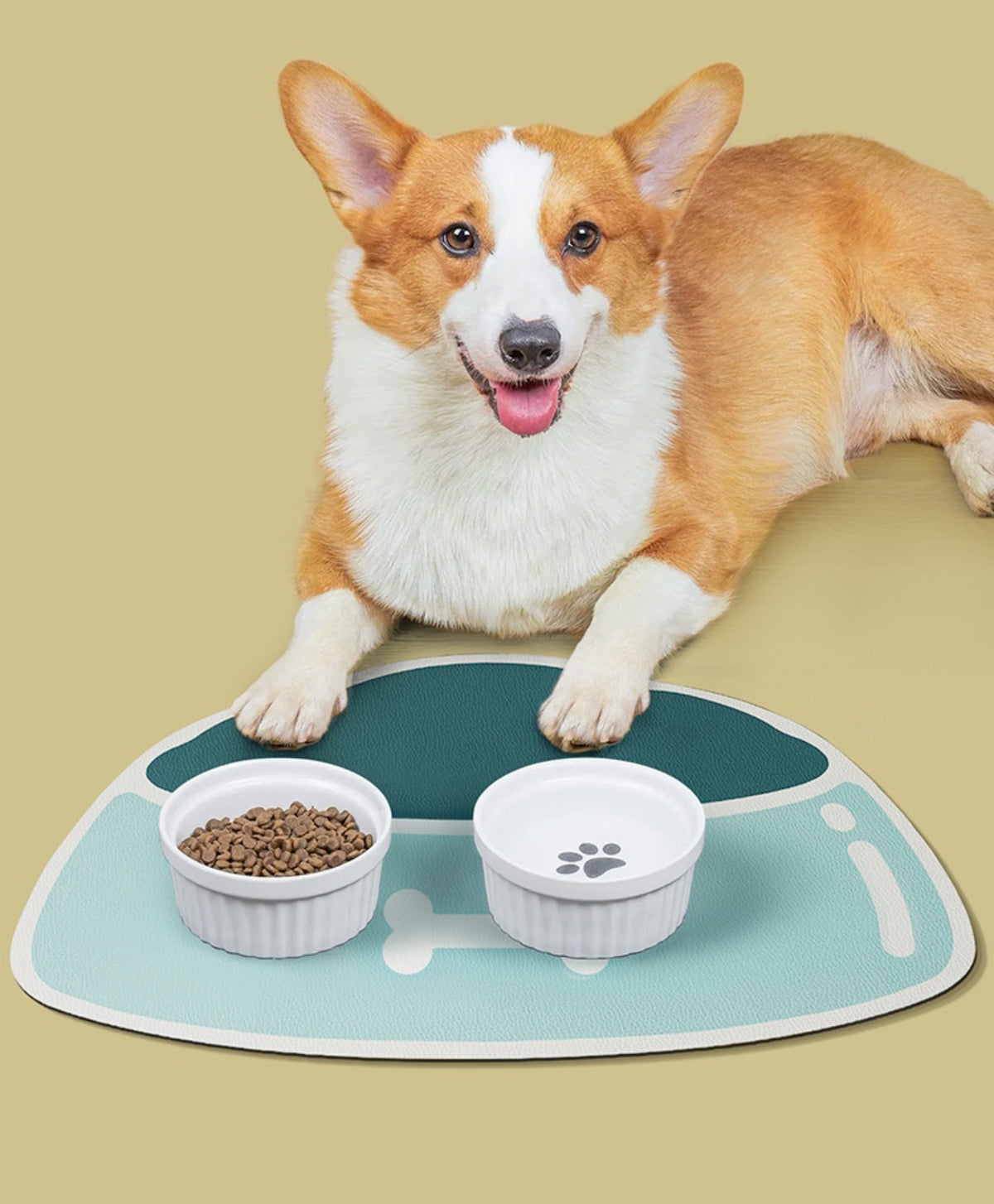 Pet Feeding Mats