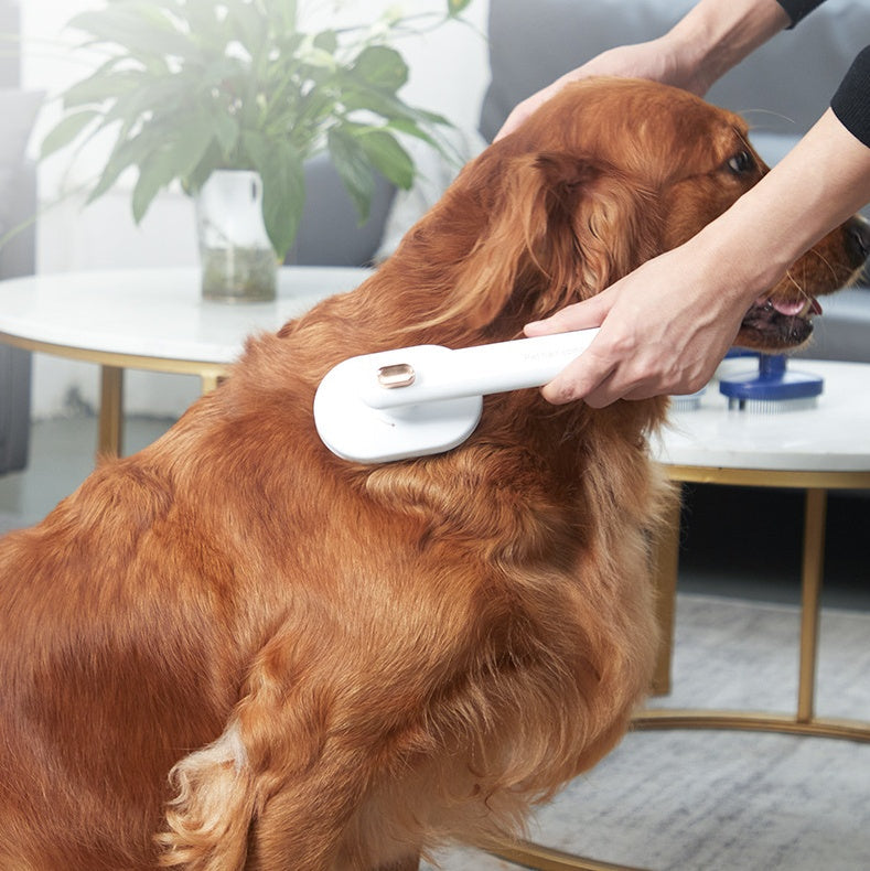 Pet Grooming