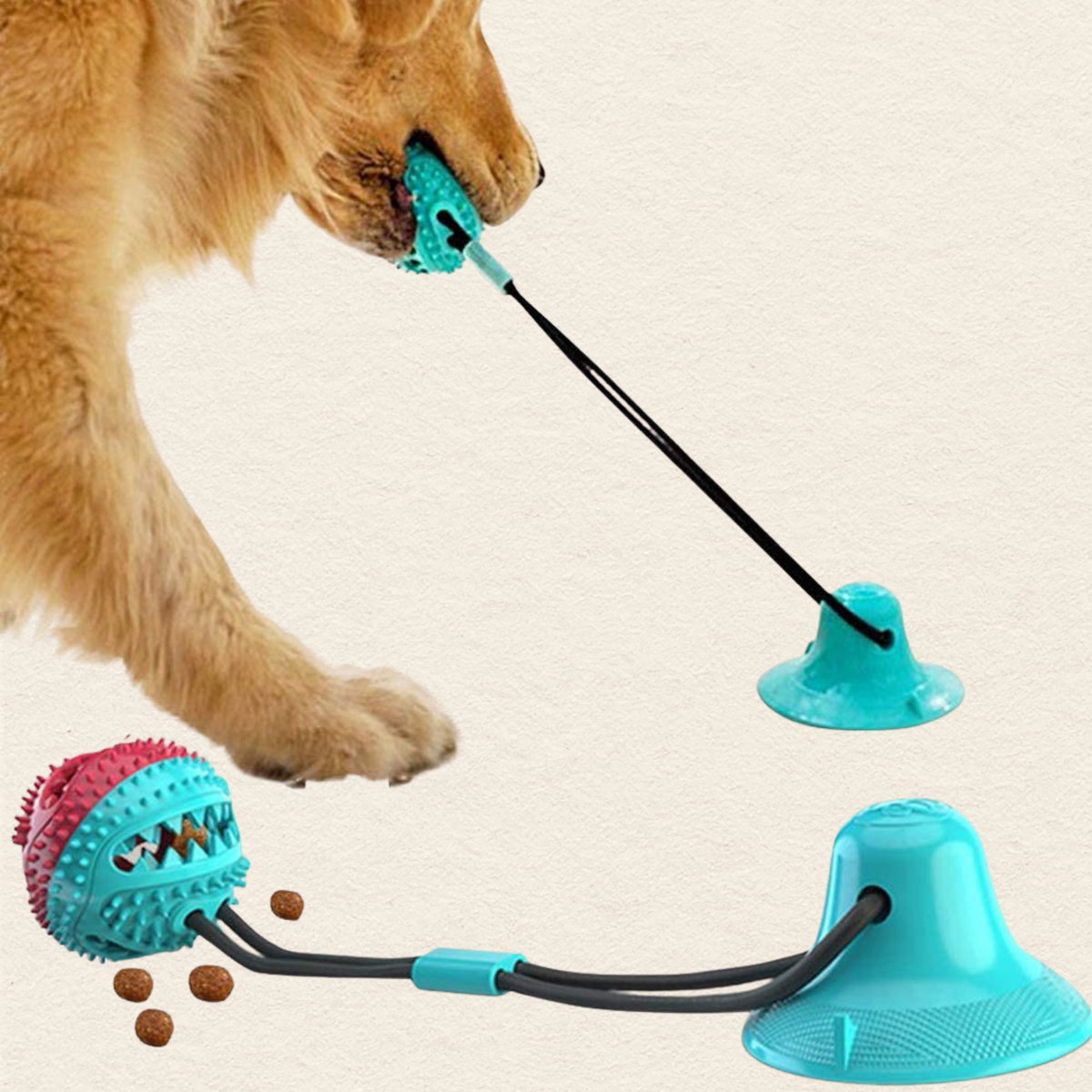 A dog toy set shown with a golden retriever paw and mouth interacting with the product. The toy consists of a turquoise suction-cup base connected by a black elastic band to a round ball with a pink and turquoise textured surface, with kibble pieces scattered nearby on a light beige background.