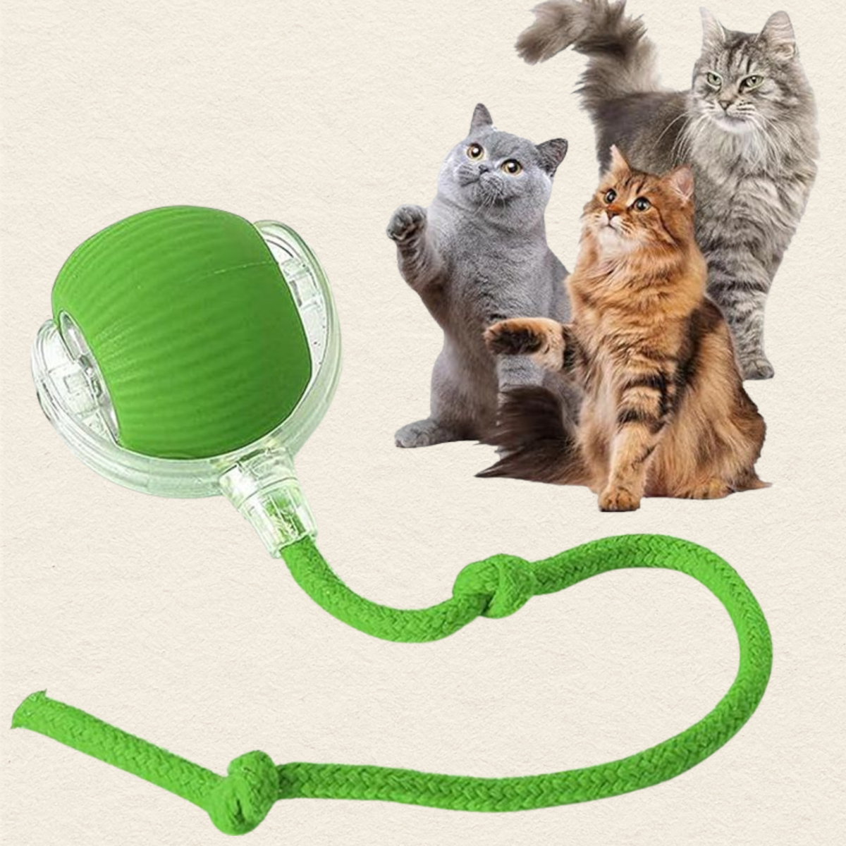 A green ball toy with a clear plastic cover and a braided green rope handle, shown on a light beige background with three cats standing behind it.