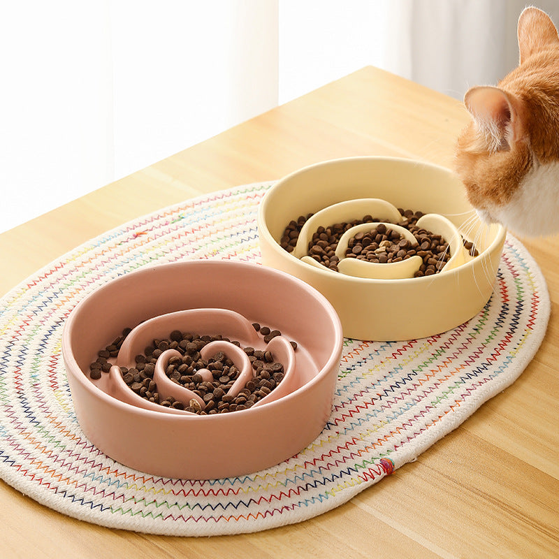 Two pet bowls with food on a colorful mat, with a cat looking at the scene.