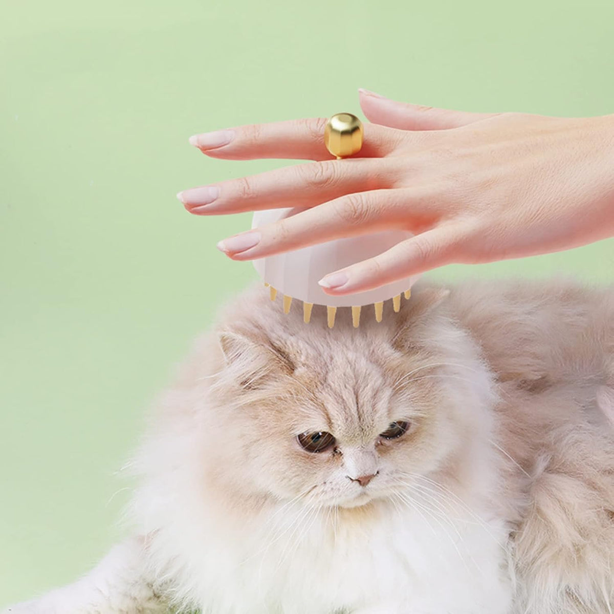 Person using a pet grooming brush on a fluffy cat with a green background