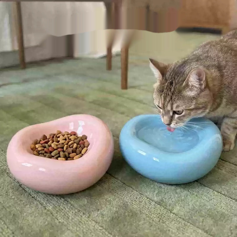 A brown tabby cat drinks water from a light blue ceramic bowl while a pink ceramic food bowl filled with dry cat food sits beside it on a green rug.