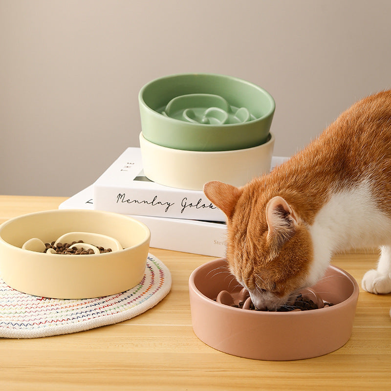 Cat eating from a pink bowl on a wooden table with a green, white, and yellow bowl and books in the background.