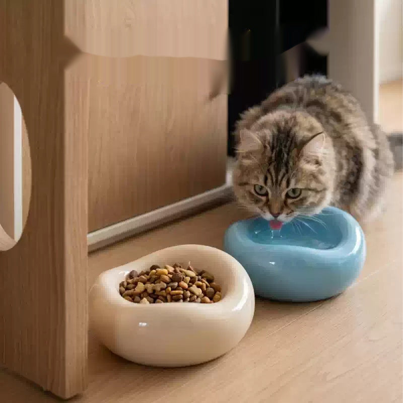 A tabby cat drinks water from a light blue ceramic bowl while a cream-colored cat food bowl filled with kibble sits nearby on a light wood floor.